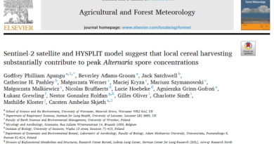 Sentinel-2 satellite and HYSPLIT model suggest that local cereal harvesting substantially contribute to peak Alternaria spore concentrations.